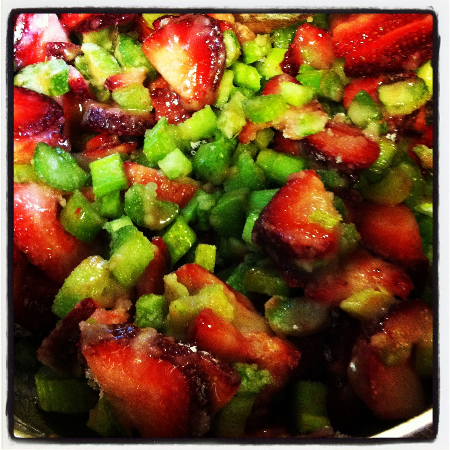 Dinner, a Dog & a Blog Strawberry Rhubarb Pie