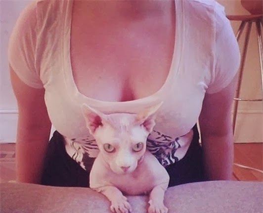 Trào lưu khoe ngực của giới trẻ cùng đồ vật