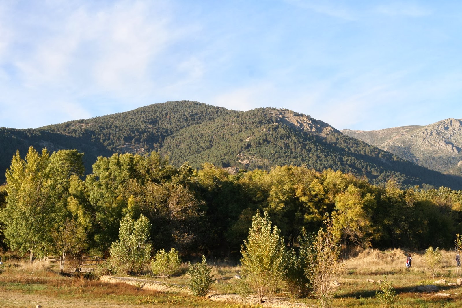 Excursiones desde Madrid Valle de la Barranca viajes con mi perro