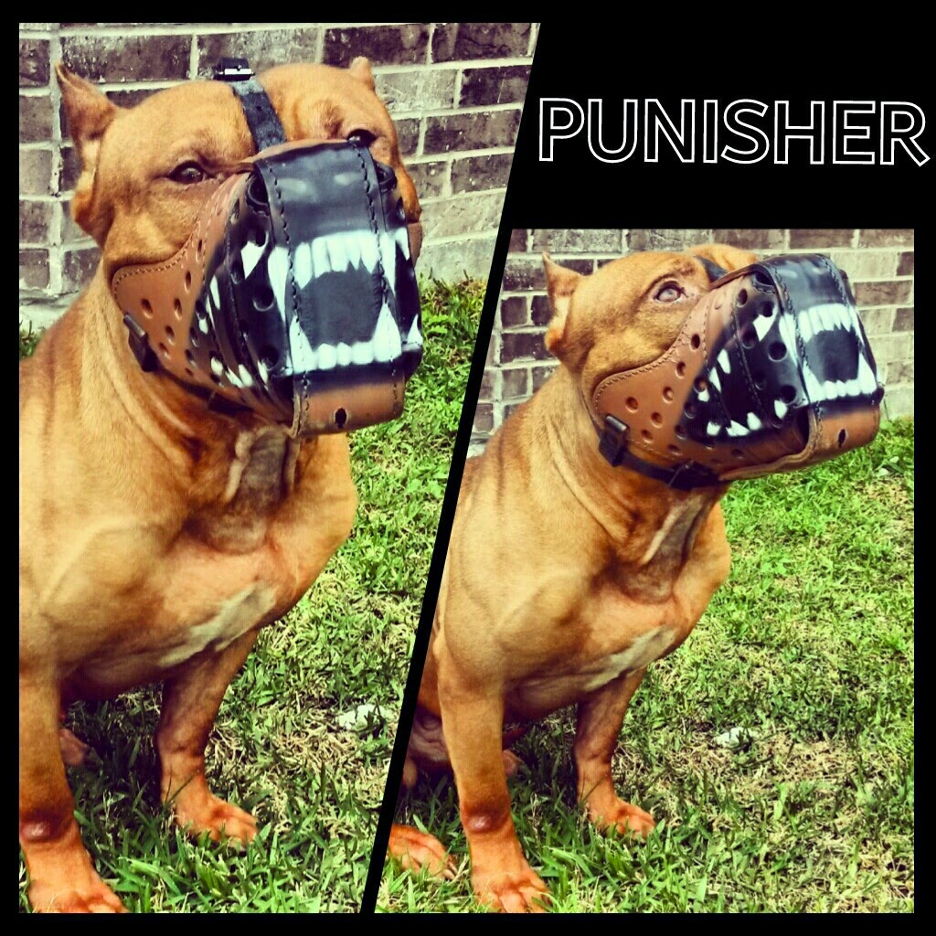 Zimmer DesignZ Custom Paint Painted dog muzzle.
