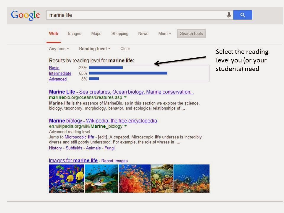 level reading google bingo students results