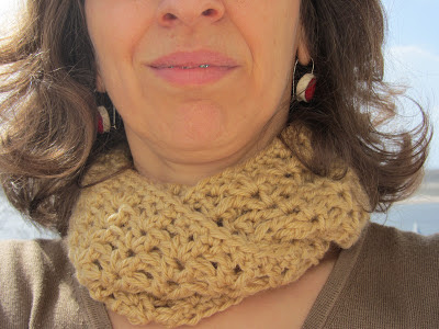 cowl crochet CAL http://www.1dogwoof.com/2013/02/cal-pick-project.html