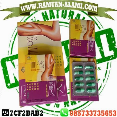 WWW.RAMUAN-ALAMI.COM