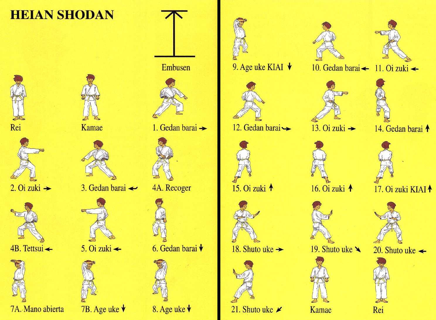 GIL ZAGO SHOTOKAN GOLPES, CHUTES E FORMAS DO KARATÊ