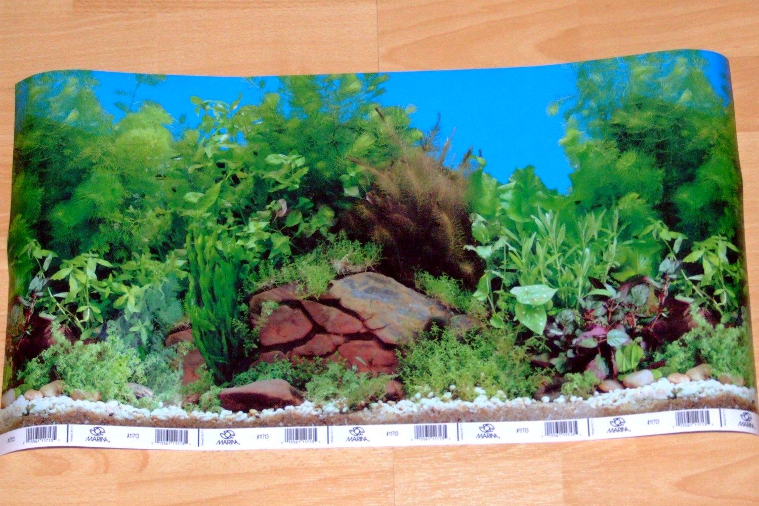 Aquarium Background Scenes Background Desktops Pics