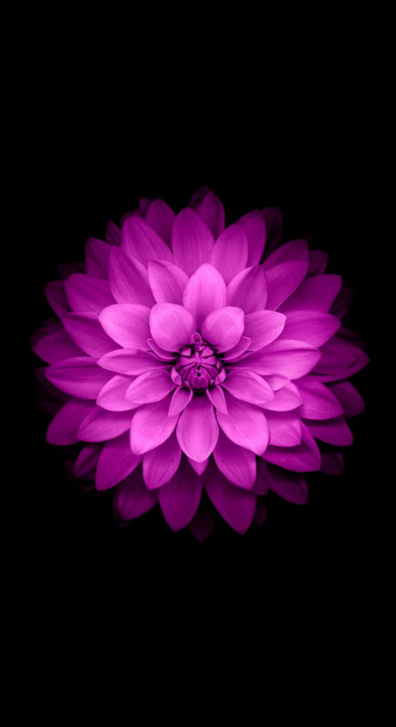 25 Best Cool iPhone 6 Wallpapers in HD Quality 25 Best Cool iPhone 6 Wallpapers in HD Quality