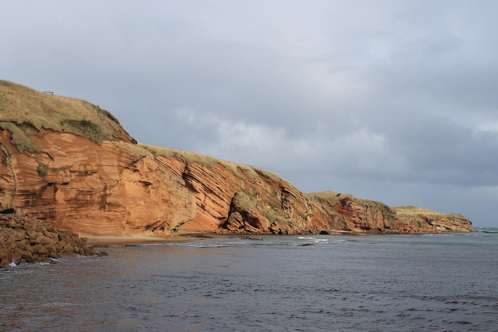 Chatham Islands and New Zealand 2012 Exploring Waitangi