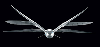 Voici comment le Smartbird Festo bat des ailes.