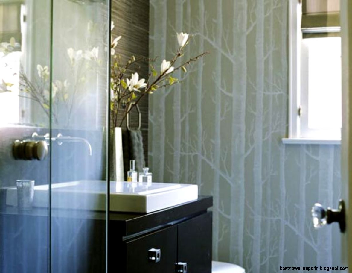 HGTV Contemporary Bathrooms HGTV Contemporary Bathrooms