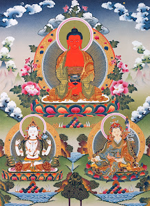 AMITABHA'S EMANATIONS