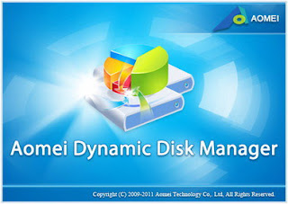 AOMEI Dynamic Disk Manager Pro 1.0.0.0