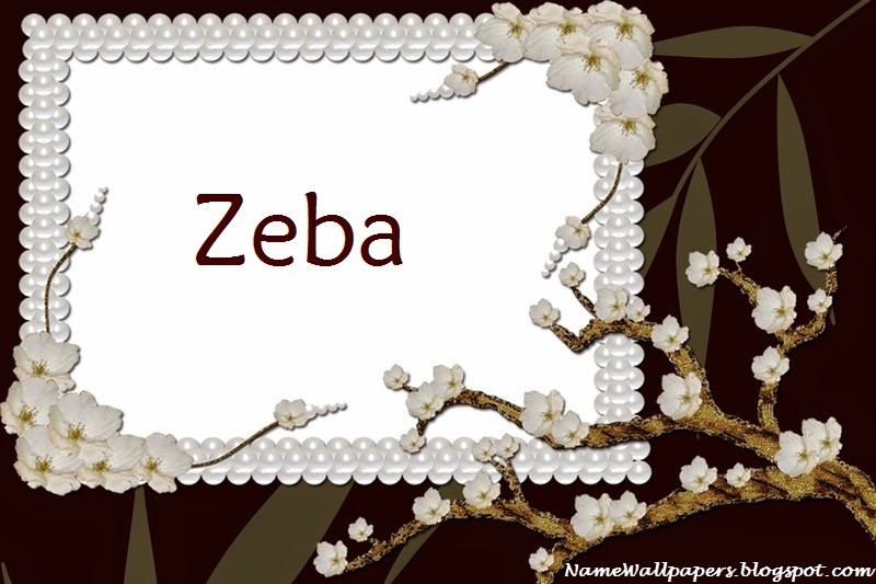 Zeba Name Wallpapers Zeba Name Wallpaper Urdu Name Meaning Name