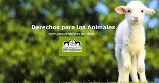 Derechos para los animales