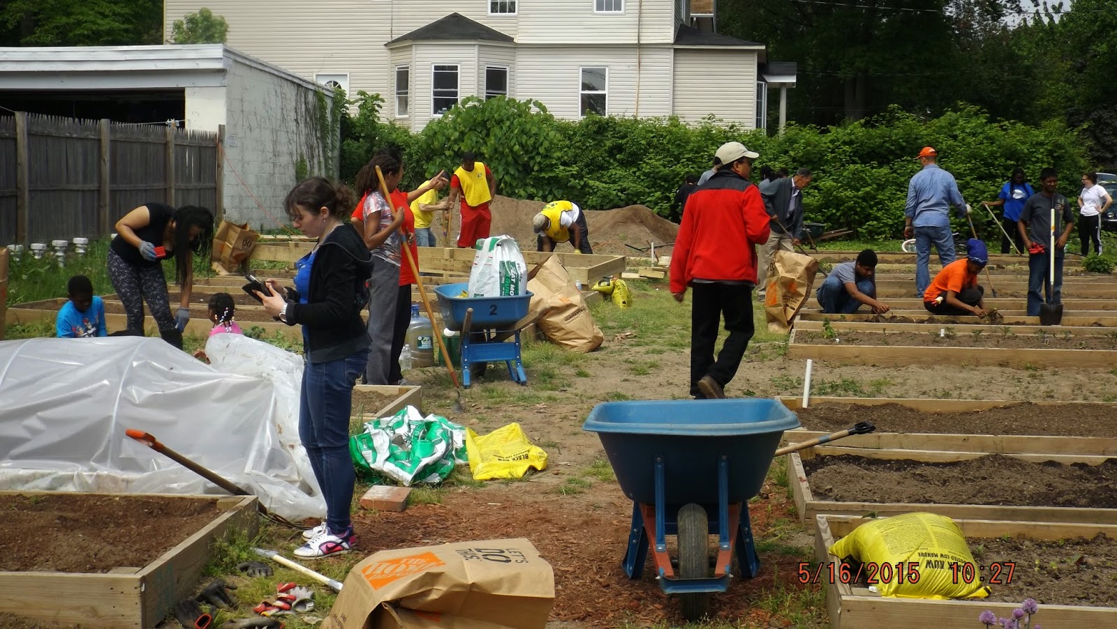 Grow Your Own Suburban Gardening Teaching Gardeners Grades 1 3
