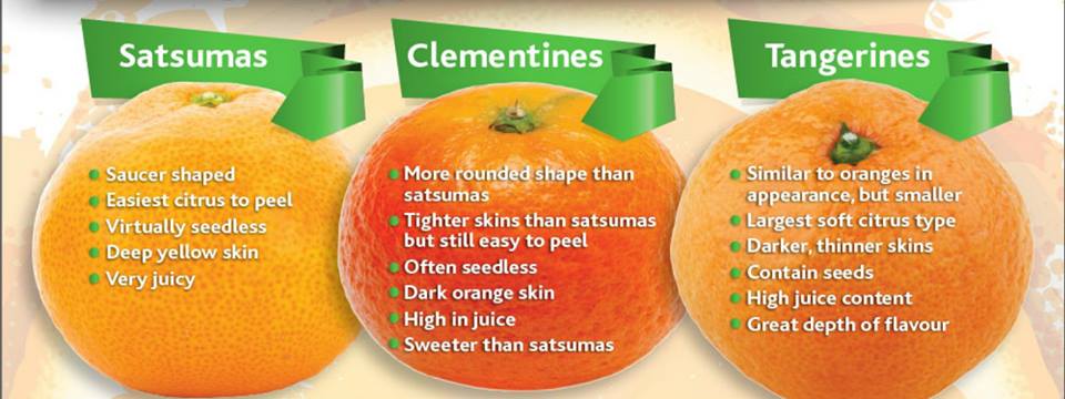 tangerine vs mandarin