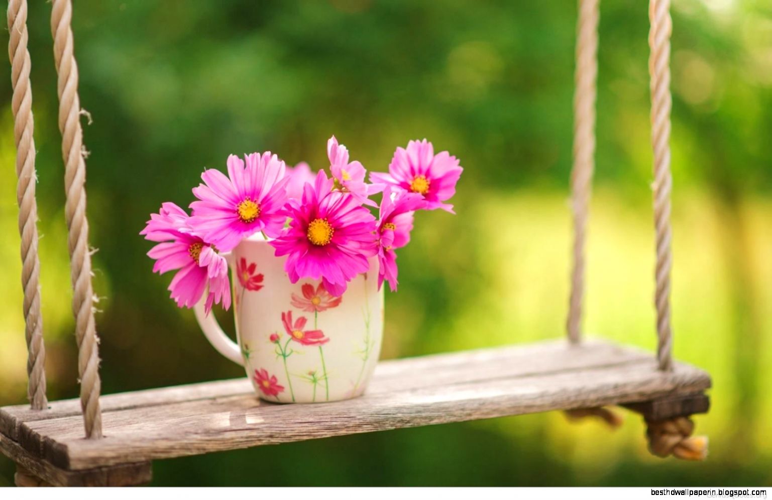 Spring Flowers Widescreen Desktop Wallpapers 7533 HD Wallpapers Site Spring Flowers Widescreen Desktop Wallpapers 7533 HD Wallpapers Site