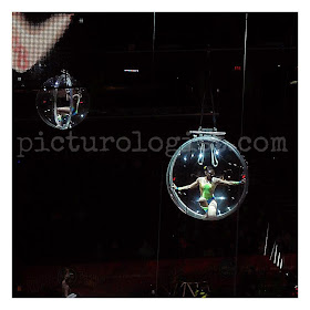 girls in glass balls  | #RinglingInsider @MryJhnsn