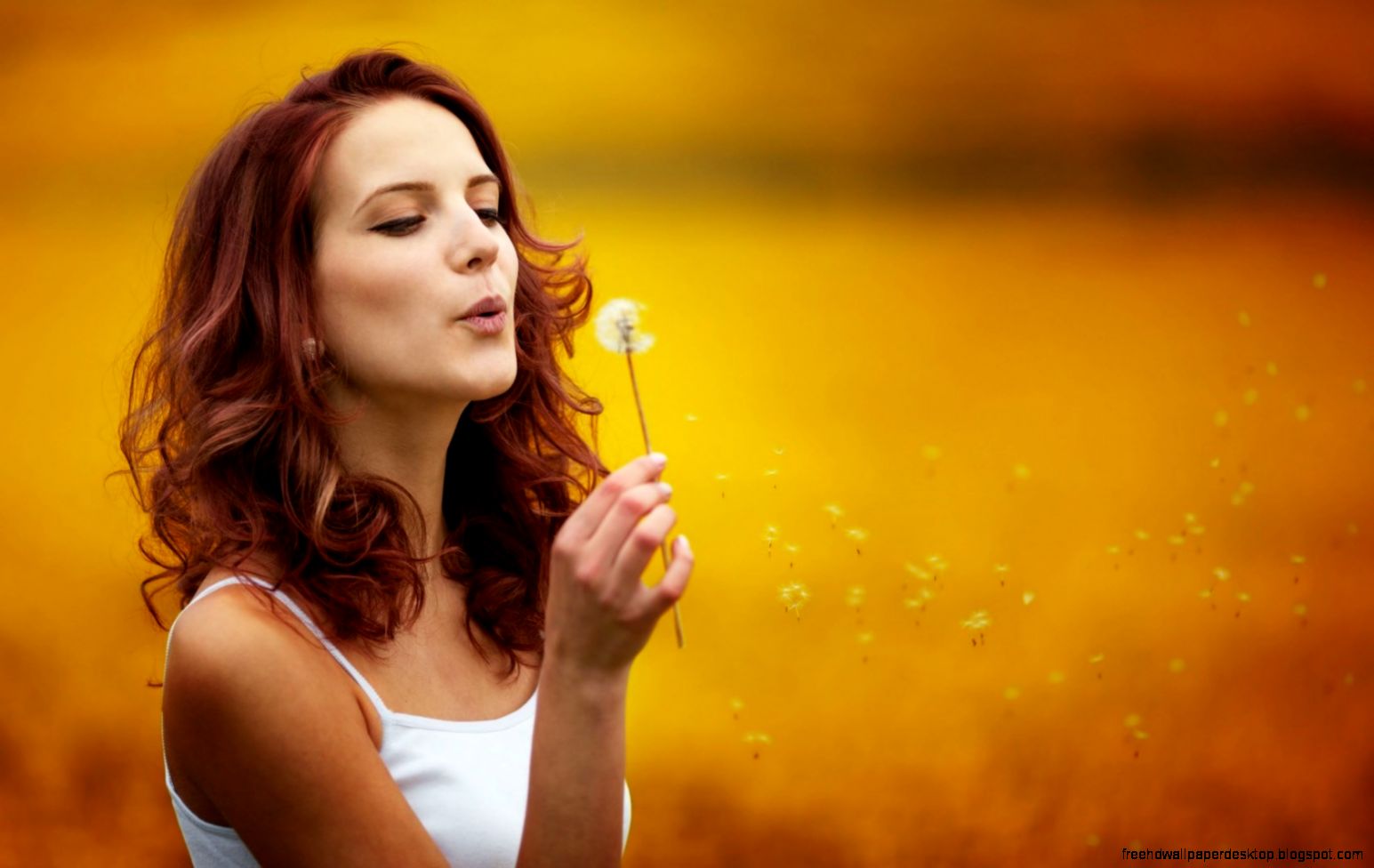 Lovely Girl Dandelion Mood HD Wallpaper FreeWallsUp Lovely Girl Dandelion Mood HD Wallpaper FreeWallsUp
