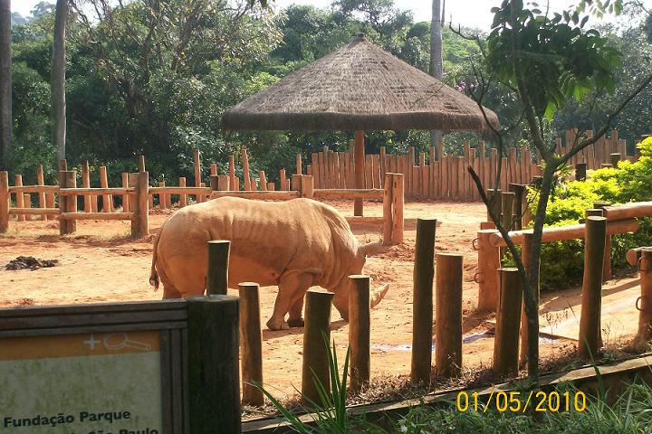 Feriado no Zoológico