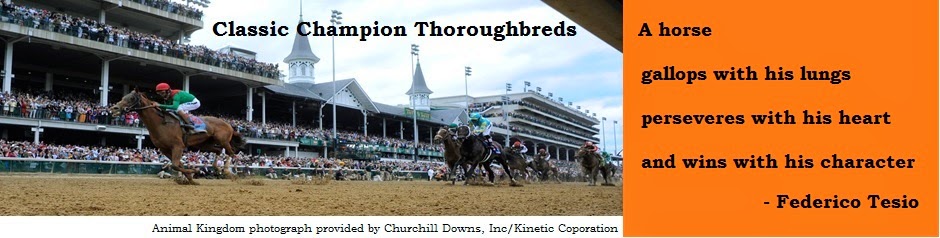 Classic Champion Thoroughbreds