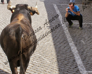 REPÓRTER TOURO NA RUA