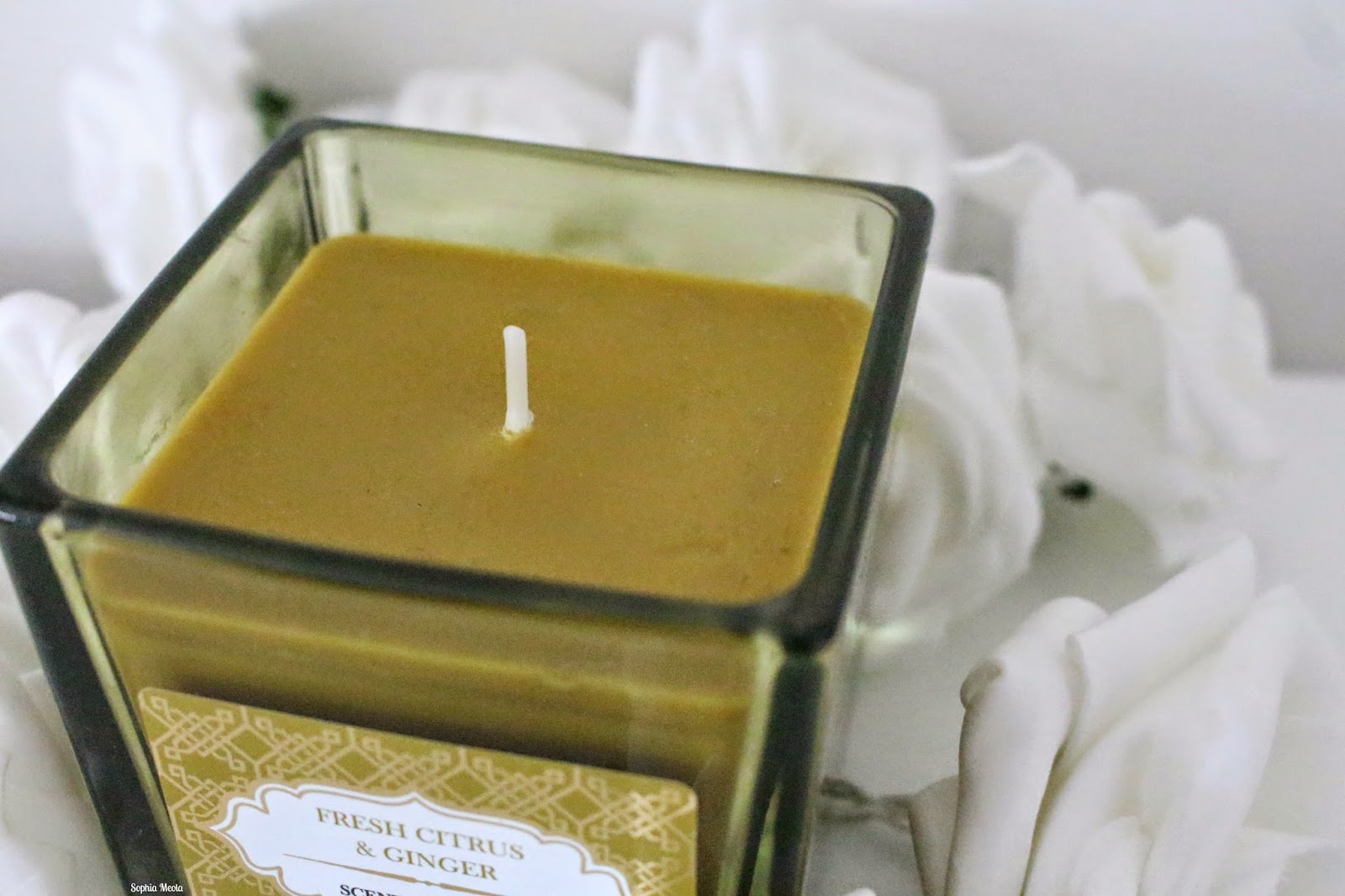 Primark Deluxe Candles 2 Sophia Meola A Beauty, Fashion