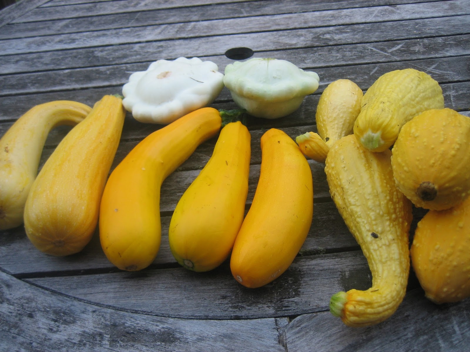 Pureed Pzazz Crookneck Squash Soup with Curry and Ginger
