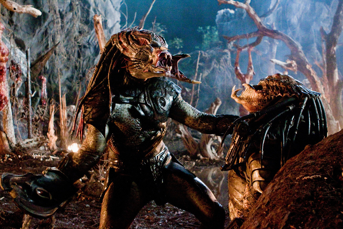 download prey vs predator movies download prey vs predator movies