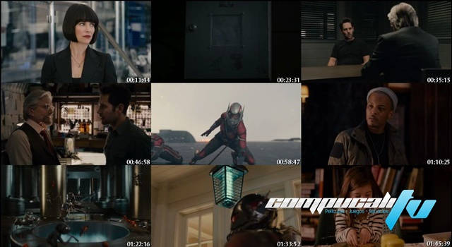 Ant-Man: El Hombre Hormiga (2015) DVDRip Latino