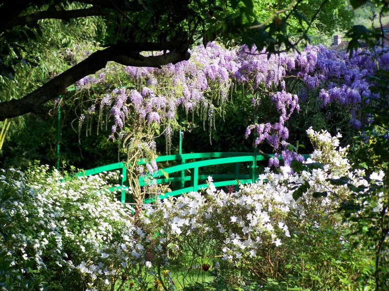 Jardin De Monet