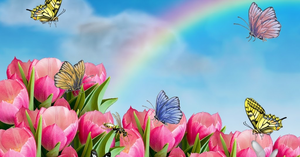 HD Wallpapers: Flowers HD Walllpapers