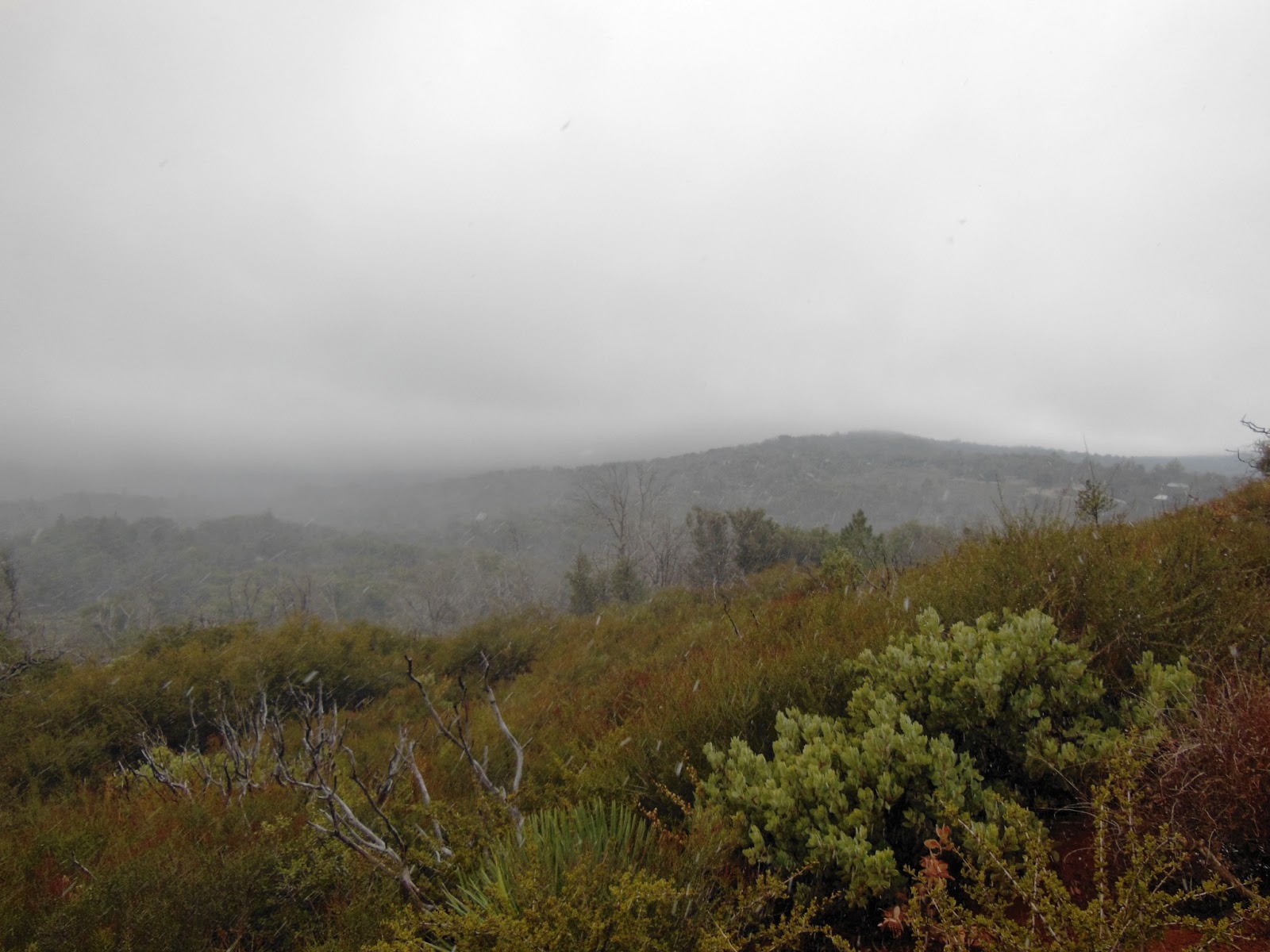 Brian And Ashley S Hiking Blog William Heise County Park Canyon