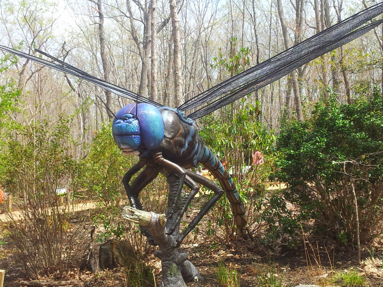 Mom's Thumb Reviews North Carolina Zoo Insects