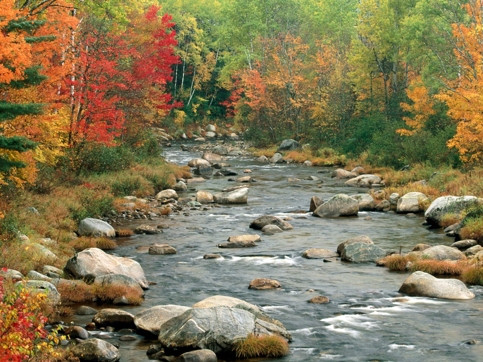http://3.bp.blogspot.com/-6OLSyJUF1ao/Tp21RcKCNQI/AAAAAAAAANs/uP7k1PKgbco/s1600/3-autumn-colors-white-mountains-new-hampshire.jpg