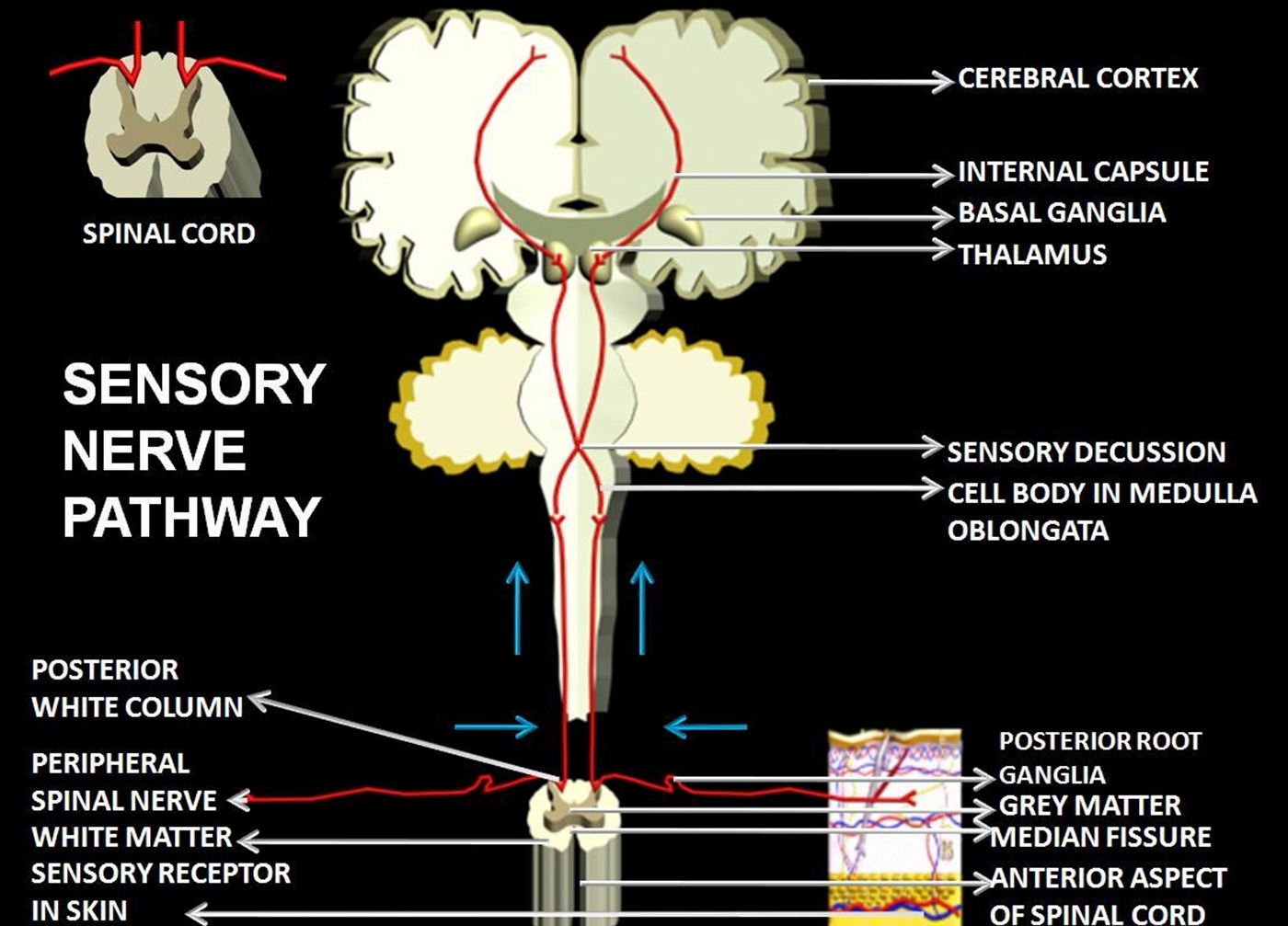 Manash (Subhaditya Edusoft): 18/11/12 - 25/11/12