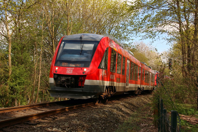 Blog Der Hainich Wildnis Als Kulturprodukt Der Freitag