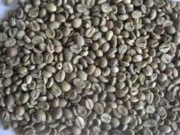sumatra coffee beans sumatra coffee beans
