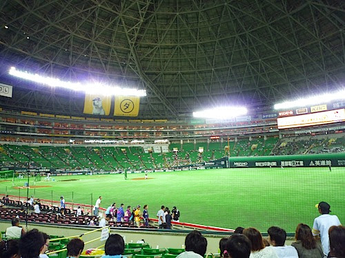 P1020438.jpg