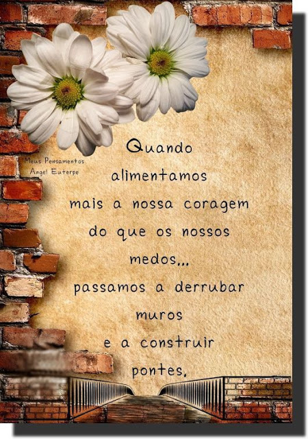 Há muros - que só a paciência derruba... e há pontes  - que só o carinho constrói. (Cora Coralina)