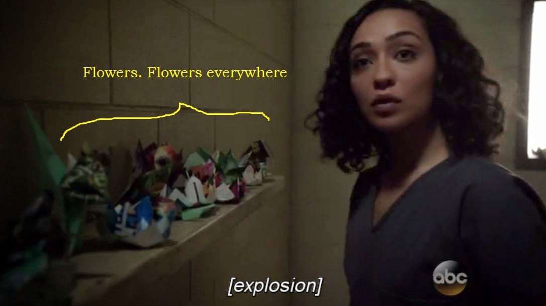 NoisyAudience Marvel's Agents of Shield 1x18 Providence review