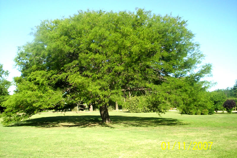 Ferre afe Tierra Doble Fe Biodiversidad