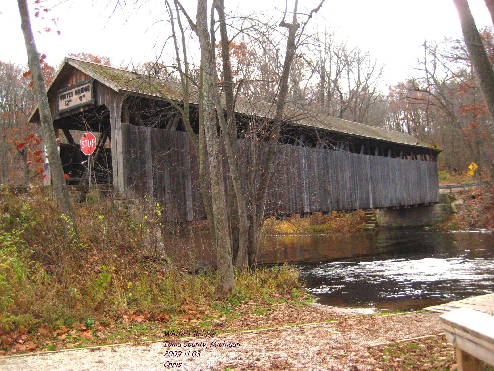 All about trees and plants White's Bridge Ionia County, Michigan