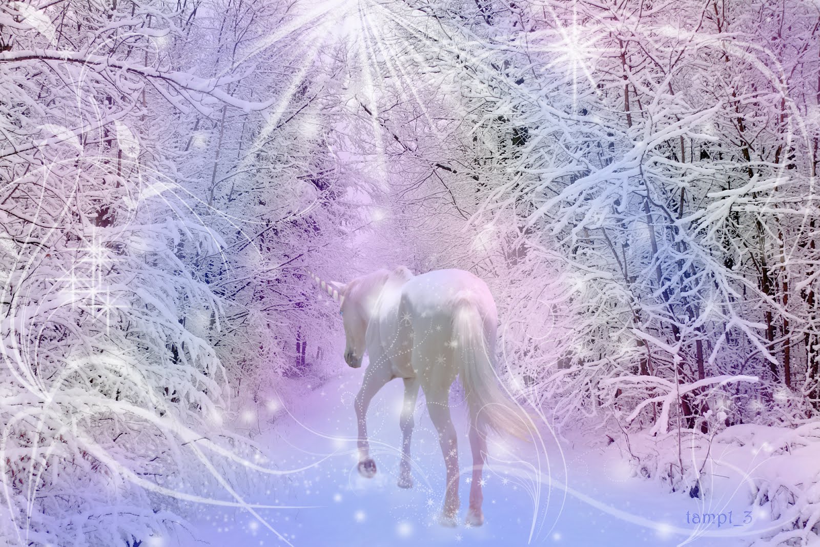 Star Steeds and Other Dreams: UNICORN IN THE SNOW