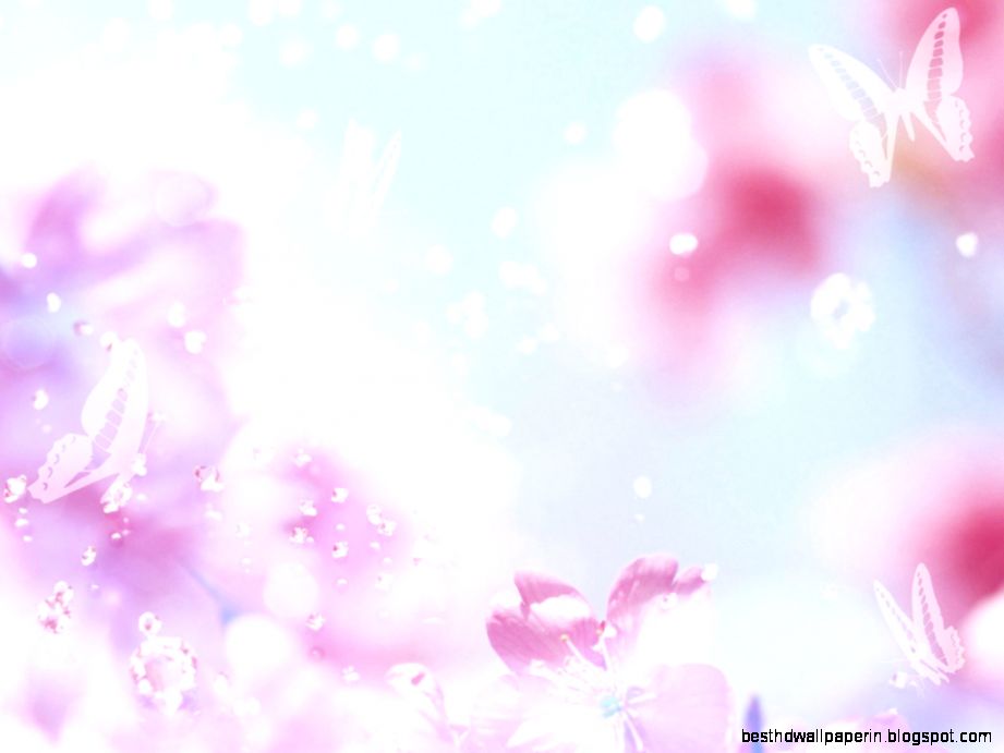 Flowers Butterflies Background Flowers Butterflies Background