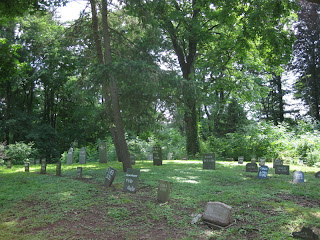 Rows of headstones in a well-shaded pet cemetery.