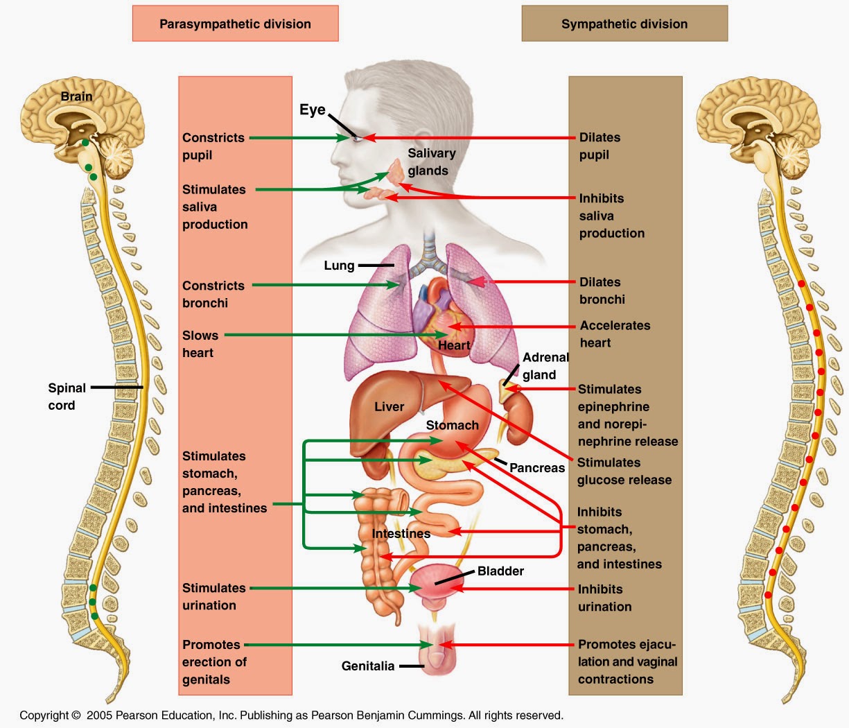Spoonie Survival Guide: The POTS Treament Center - Dallas, TX