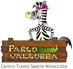 Parco faunistico Valcorba un oasi di pace e di emozioni I Viaggi di