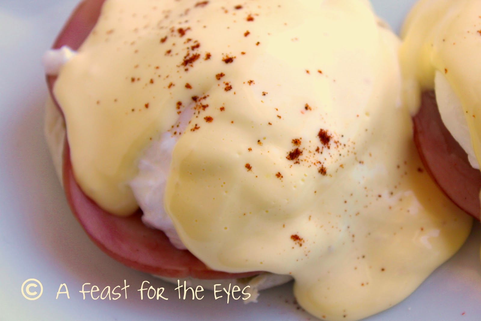 A Feast for the Eyes Super Simple Blender Hollandaise Sauce for
