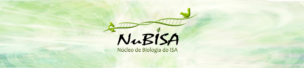 NuBISA