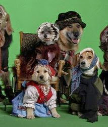 Heidi 4 Paws (2009) full movIe free onlIne watch Heidi 4 Paws (2009) poster